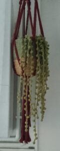 Crocheted String of Pearls